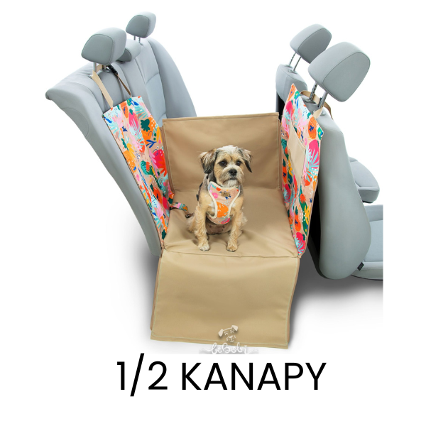 Połowa tylnej kanapy