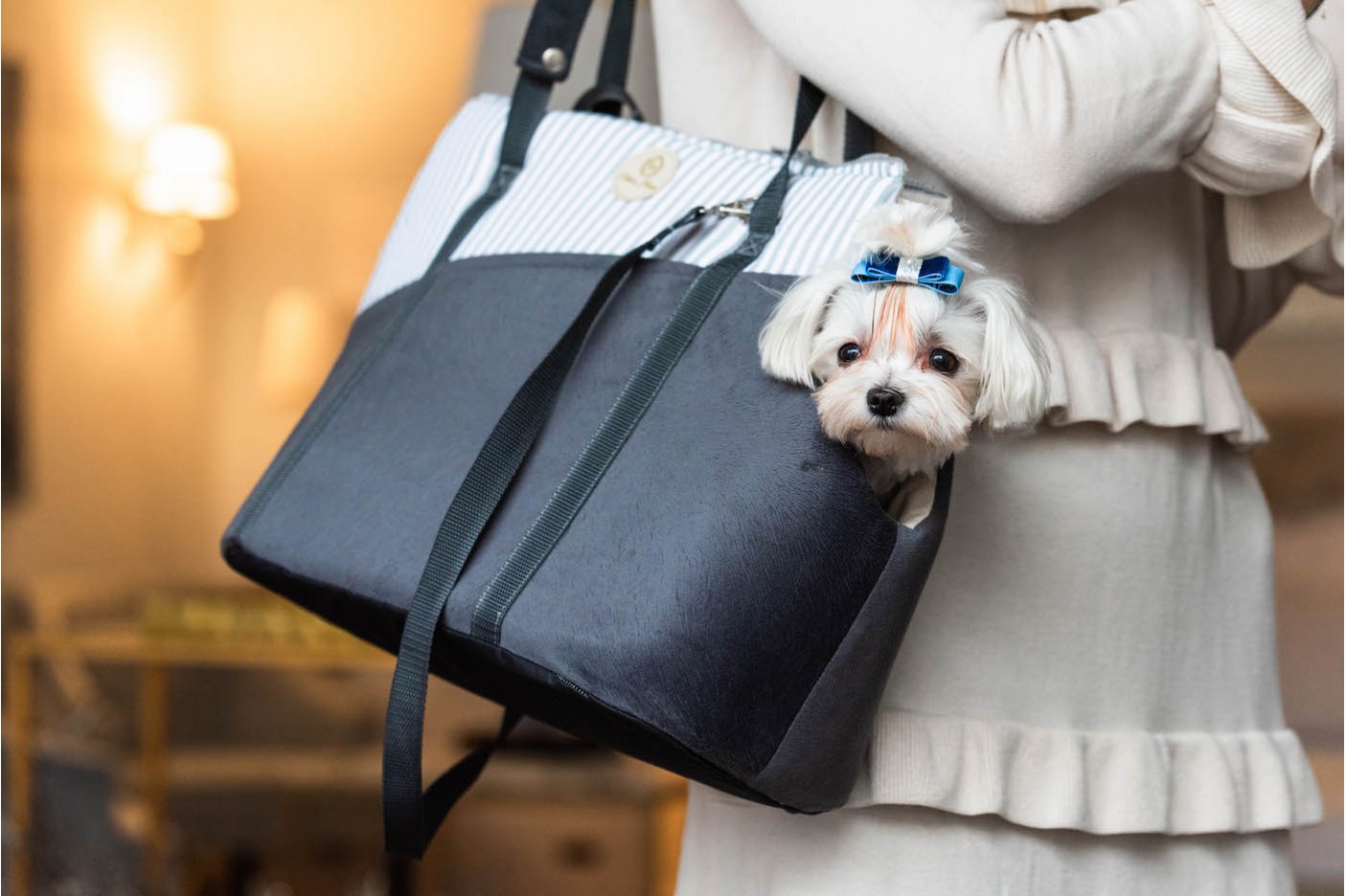 Praktyczne i modne torby dla małych ras psów 