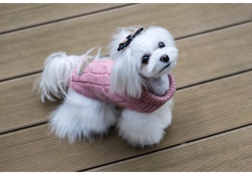 Praktyczne i stylowe: Swetry dla psów na każdą okazję