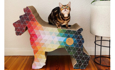 Tekturowy drapak dla kota - dlaczego warto?