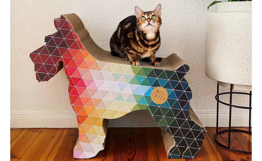 Tekturowy drapak dla kota - dlaczego warto?