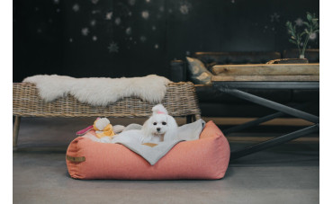 JAKI MODEL LEGOWISKA WYBRAĆ DLA MALTAŃCZYKA?