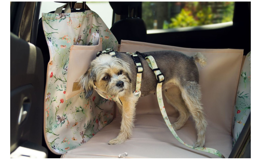Dlaczego inwestycja w matę dla psa do samochodu na tylne siedzenie jest niezbędna dla każdego właściciela psa?