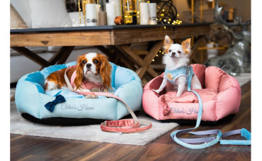 Dlaczego warto zainwestować w wysokiej jakości legowisko dla psa?