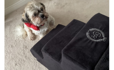 Czy warto zainwestować w schody dla psa?