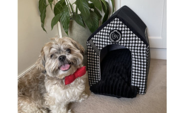 BUDKA DLA PSA DO DOMU: KOMFORTOWE SCHRONIENIE DLA TWOJEGO PUPILA