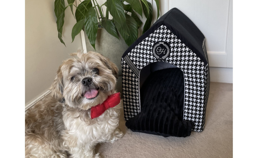 BUDKA DLA PSA DO DOMU: KOMFORTOWE SCHRONIENIE DLA TWOJEGO PUPILA