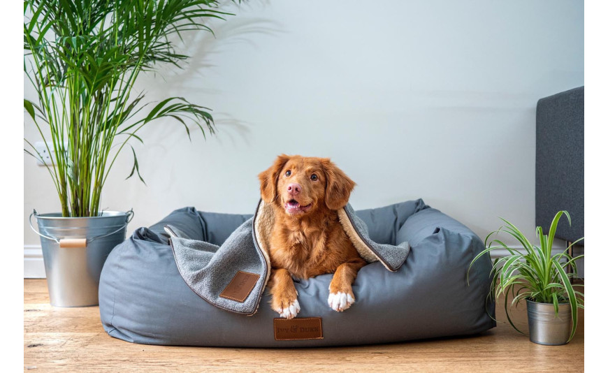 Legowisko dla psa – jak wybrać?